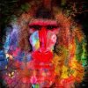 Christian Lange - Mandrill