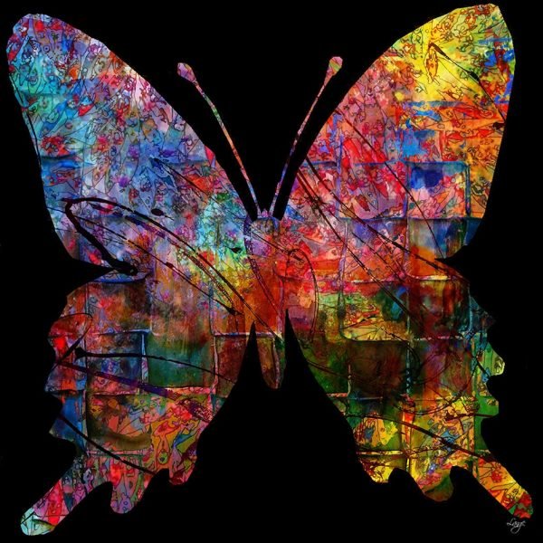 Christian Lange - Papillon